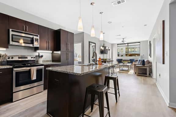 Luxurious Large 2 bed 2 bath Downtown Condo- 202 Parking included - Image 1