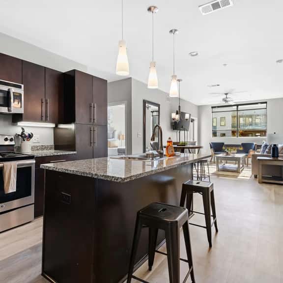 Luxurious Large 2 bed 2 bath Downtown Condo- 202 Parking included - Image 1